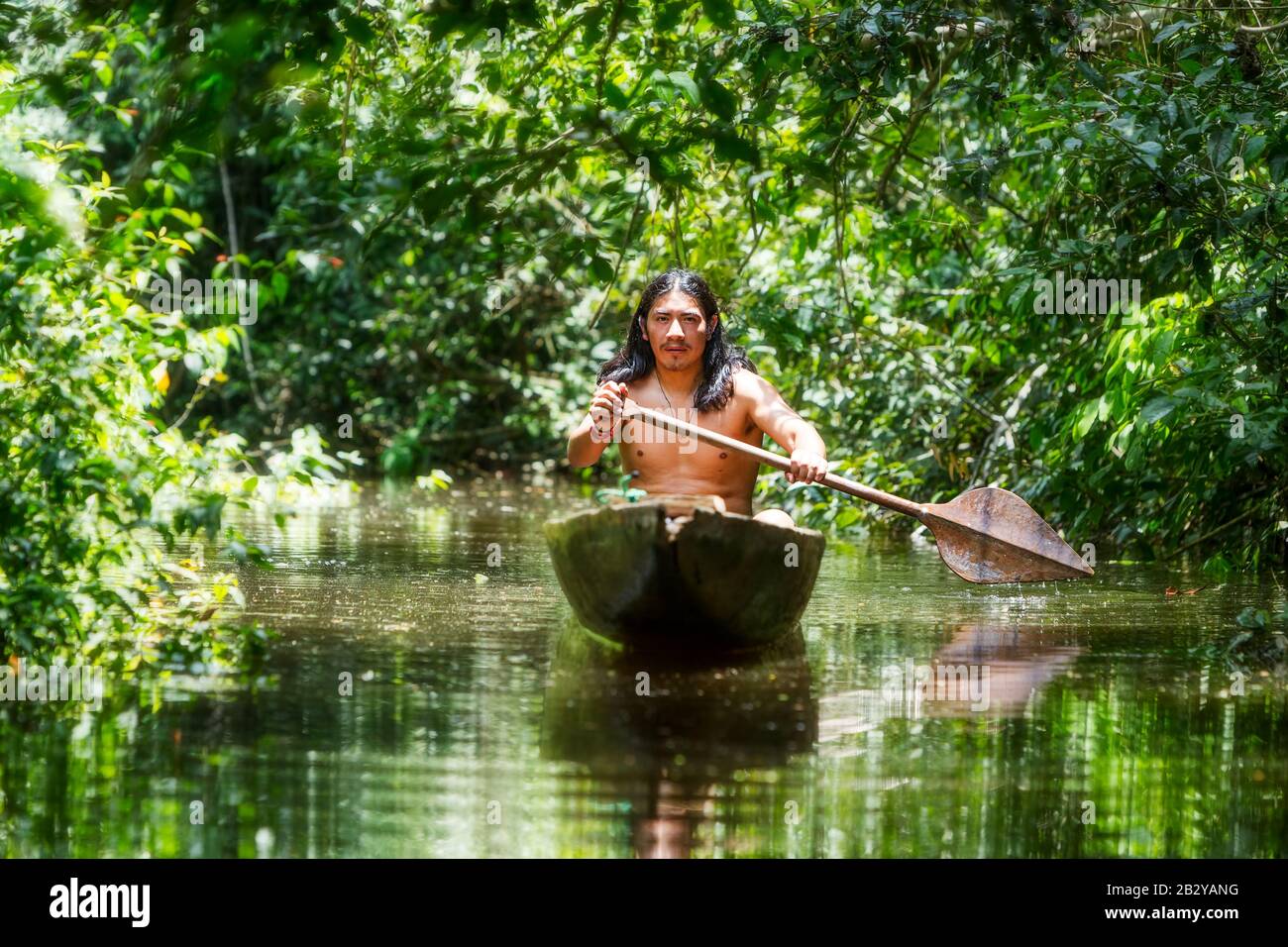 Indigens Adult Man On Ordinary Wooden Boat Jagged From A Single Tree Navigating Murky Waters Of Ecuadorian Amazonian Primary Rain Forest Stock Photo