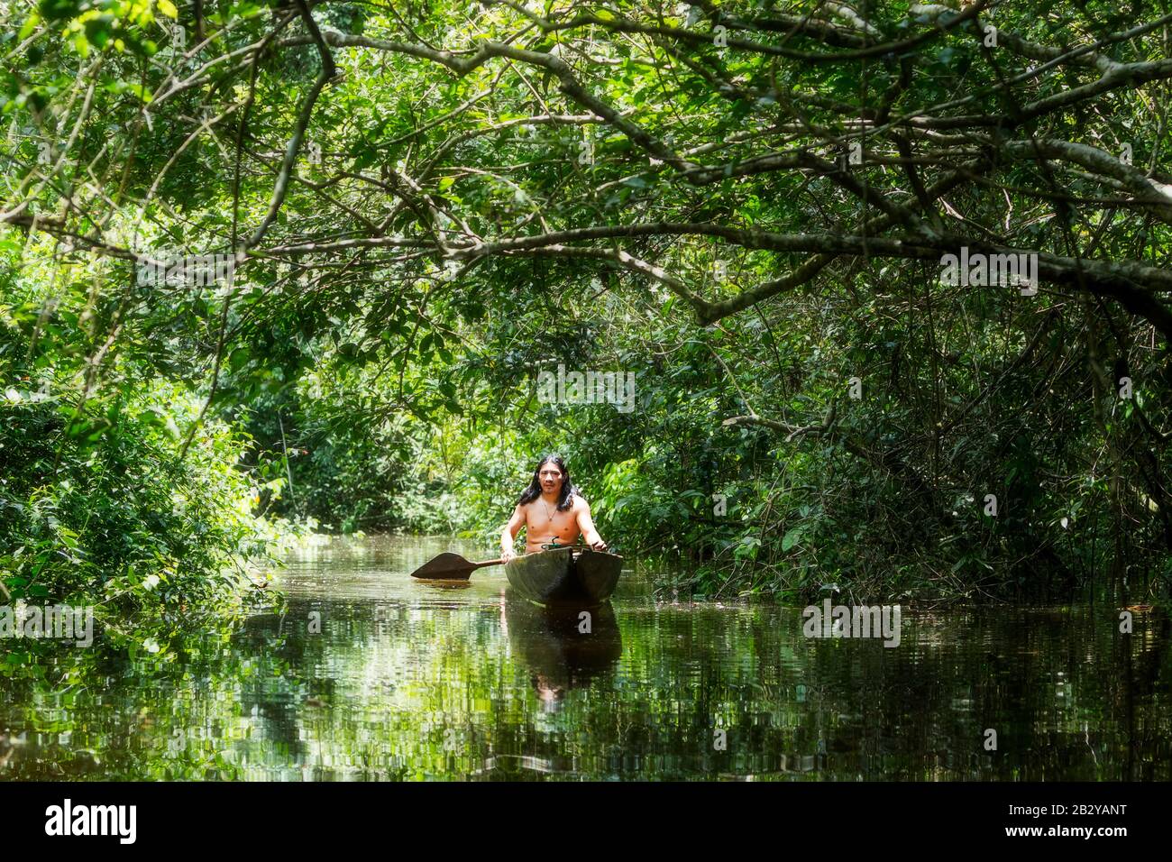 Aboriginal Mature Man On Typical Wooden Canoe Sliced From A Single Timber Navigating Gloomy Waters Of Ecuadorian Amazonian First Rain Forest Stock Photo