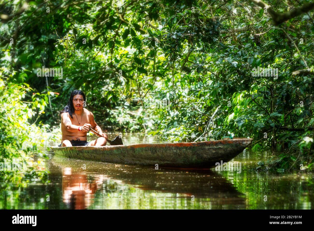 Indigenous Mature Man On Typical Wooden Boat Jagged From A Single Tree Navigating Misty Waters Of Ecuadorian Amazonian Primary Jungle Stock Photo