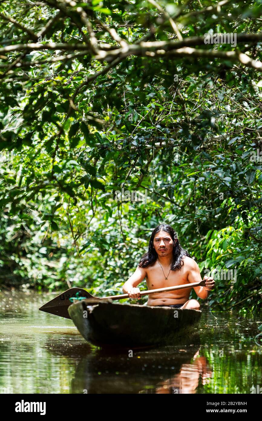 Indigenous Mature Man On Typical Wooden Canoe Chopped From A Single Tree Navigation Gloomy Waters Of Ecuadorian Amazonian Primary Jungle Stock Photo