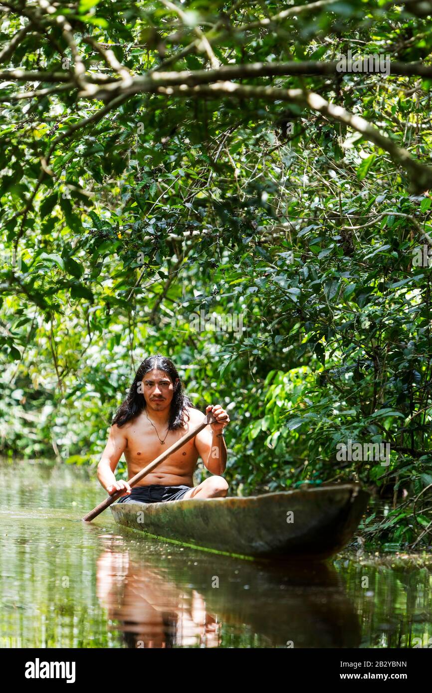 Aboriginal Mature Man On Symbolic Wooden Boat Jagged From A Single Timber Navigating Misty Waters Of Ecuadorian Amazonian Primary Jungle Stock Photo