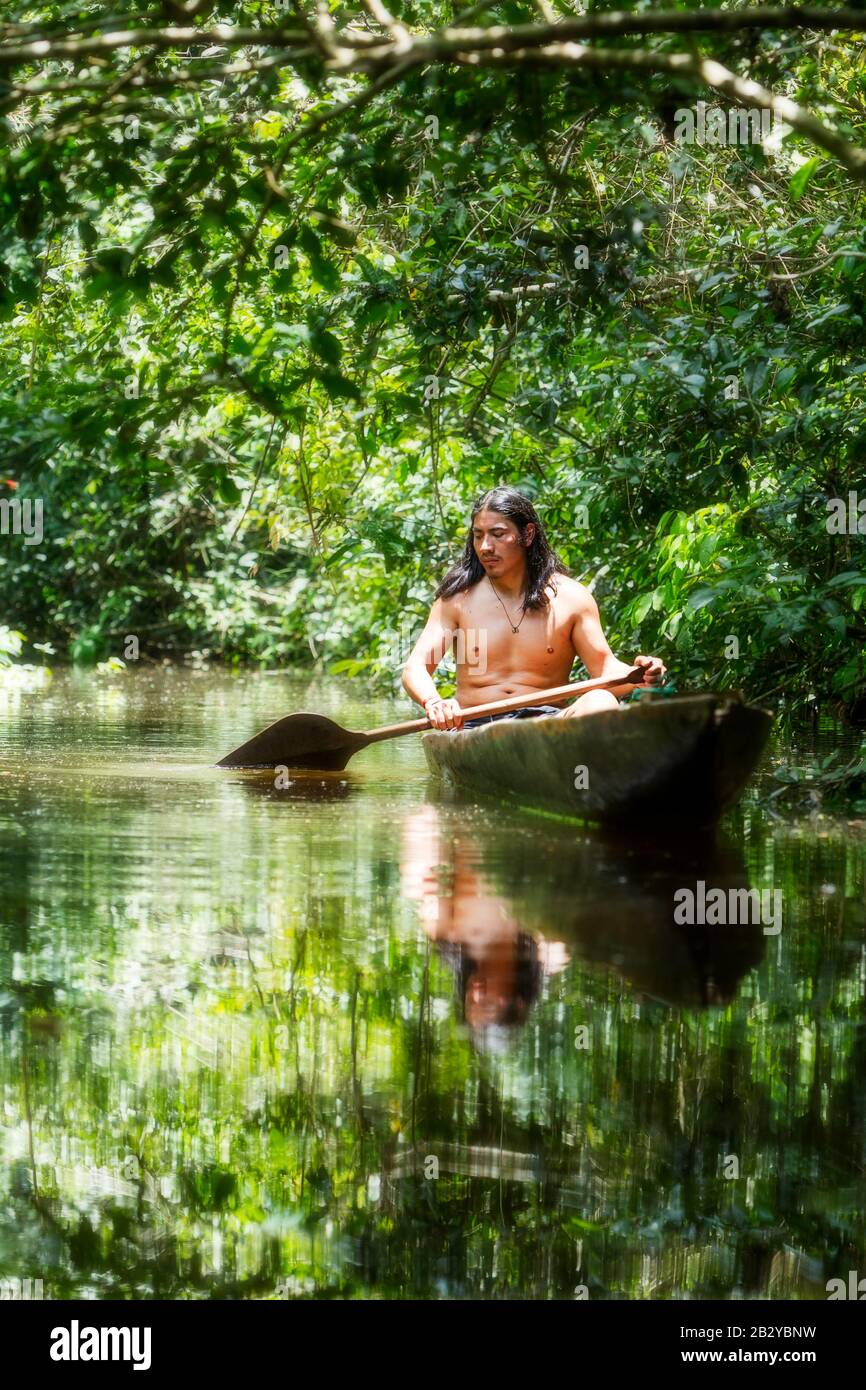 Primitive Grown Man On Ordinary Wooden Boat Sliced From A Single Timber Navigation Misty Waters Of Ecuadorian Amazonian Primary Timber Stock Photo