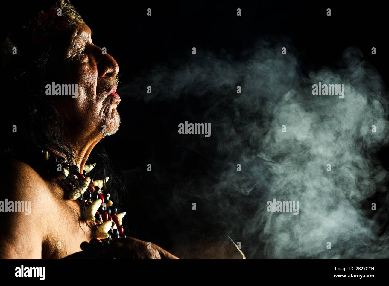 Sorcerer In Ecuadorian Amazon During A Real Ayahuasca Anniversary Model Released Picture As Seen In April 2015 Stock Photo