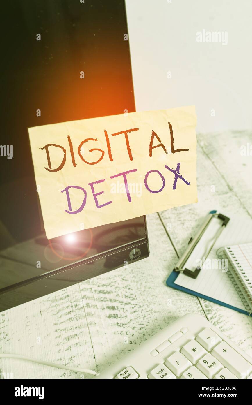 Detoxing Digitally Meaning
