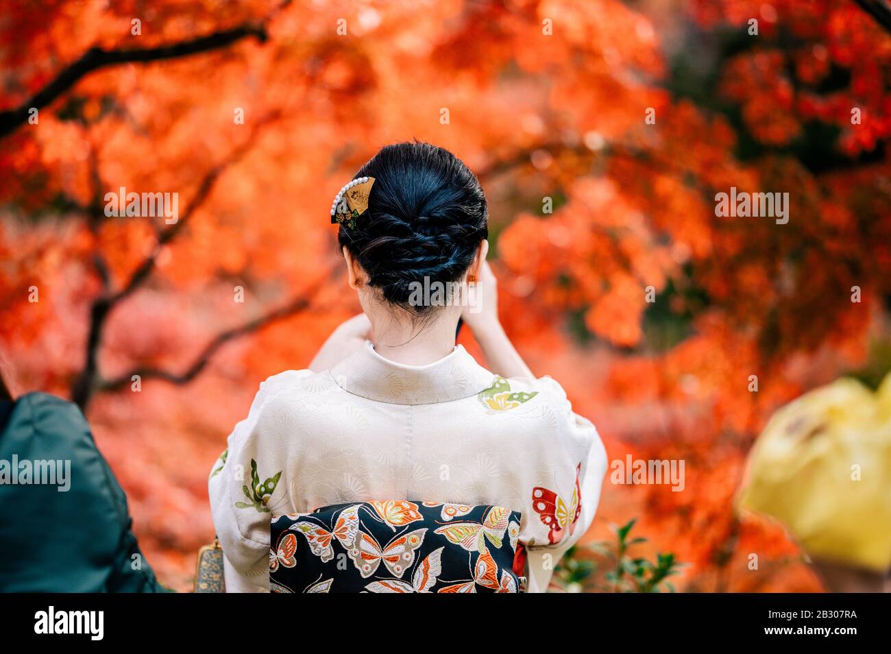 Young women wearing traditional Japanese Kimono  with colorful maple trees in autumn is famous in autumn color leaves and cherry blossom in spring, Ky Stock Photo