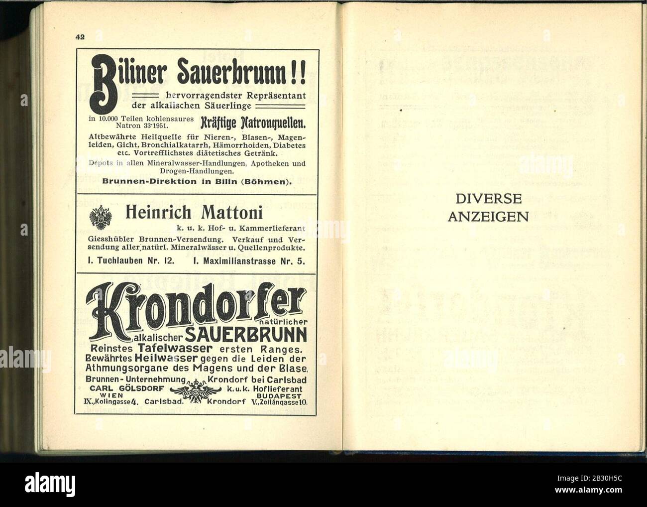 Genealogisches Taschenbuch der adeligen Haeuser Oesterreichs 1905 42-43. Stock Photo