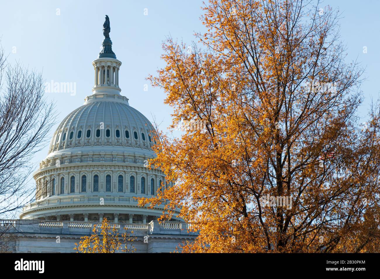 The United States Capital Building on a sunny day in Washington. Stock Photo