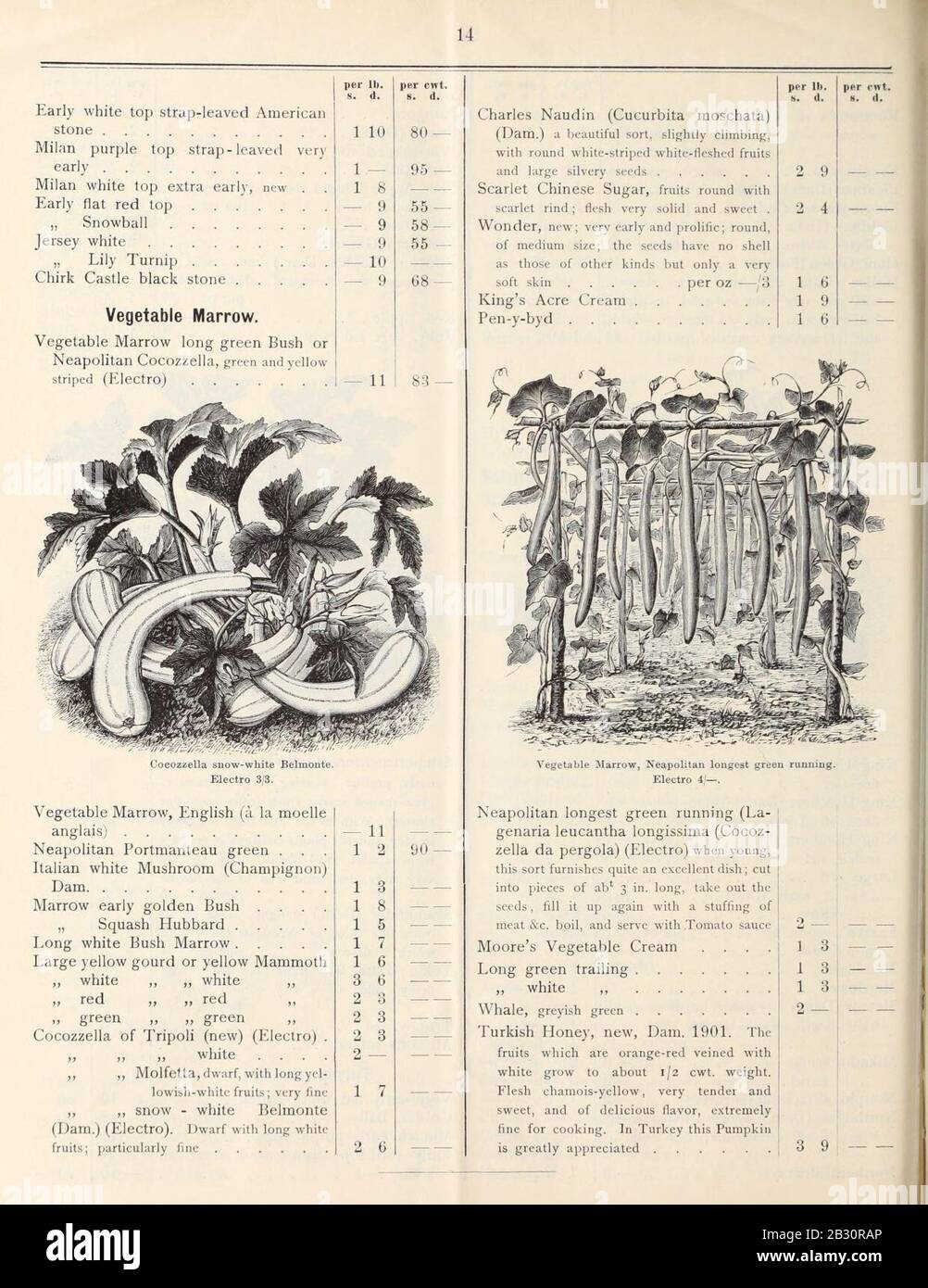Palm Trees Rappers General price list of vegetable, farm, tree, conifer, palm, flower and ...
