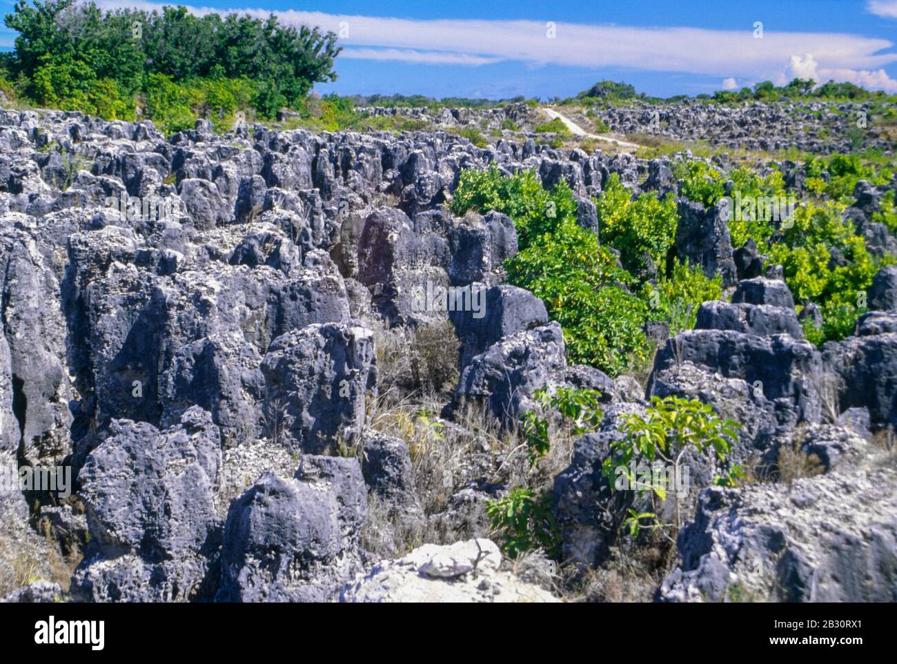 A moonscape of coral pillars covers most of Nauru in the Pacific, the