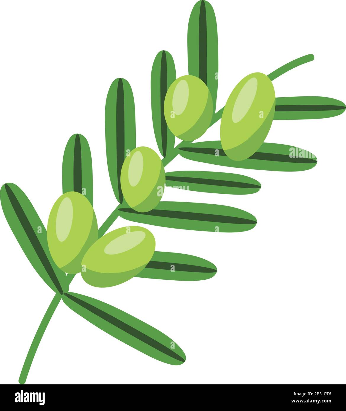 olives branch icon over white background, flat detail style, vector ...