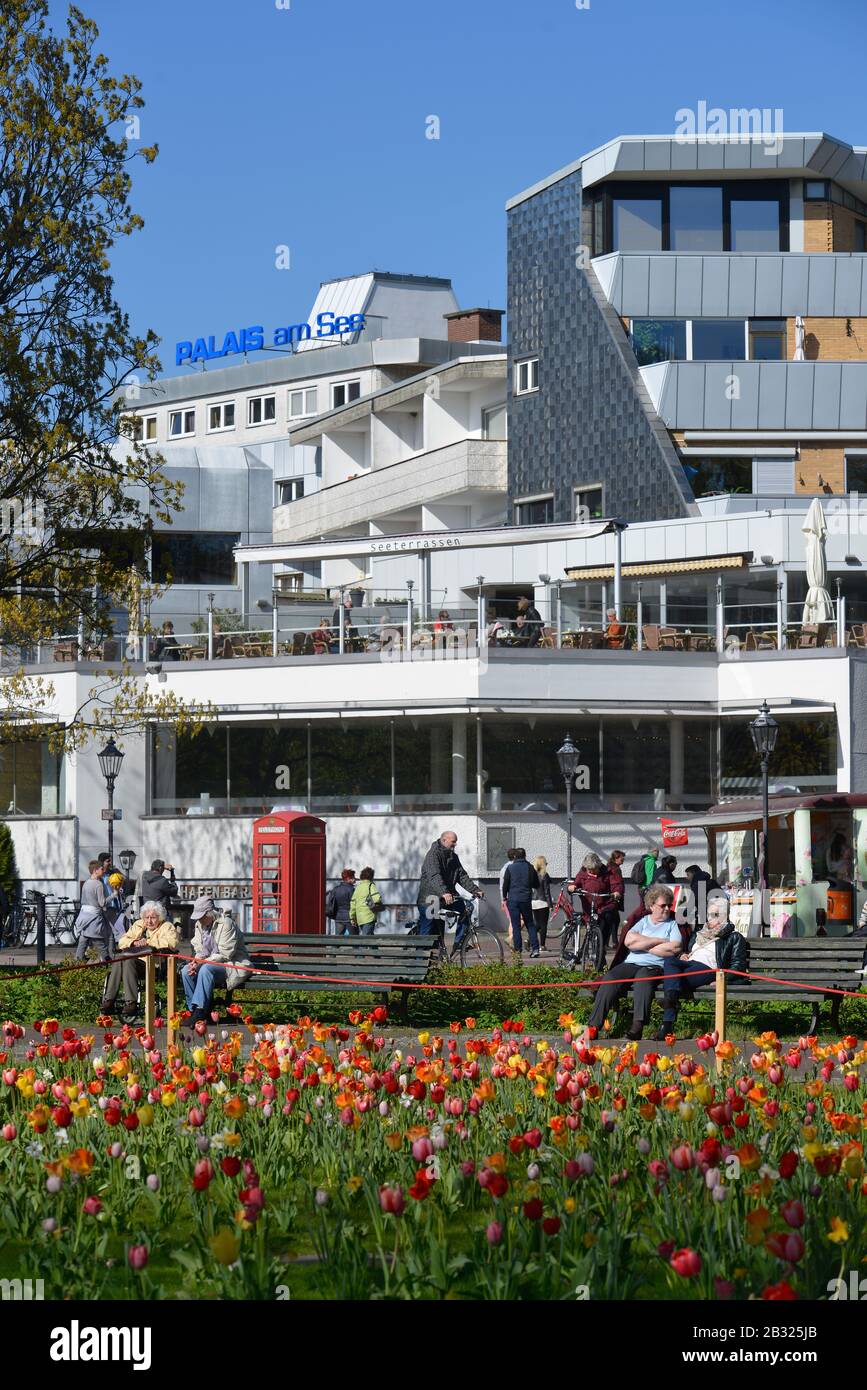 Tulpenbluete, Greenwichpromenade, Tegeler See, Tegel, Reinickendorf, Berlin, Deutschland Stock Photo