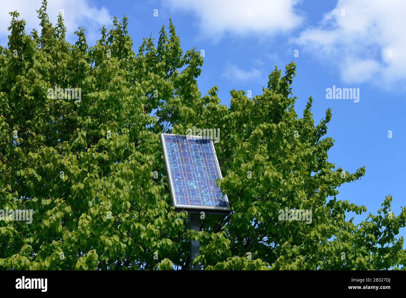 Photovoltaik, Kurt-Schumacher-Damm, Tegel, Reinickendorf, Berlin, Deutschland Stock Photo