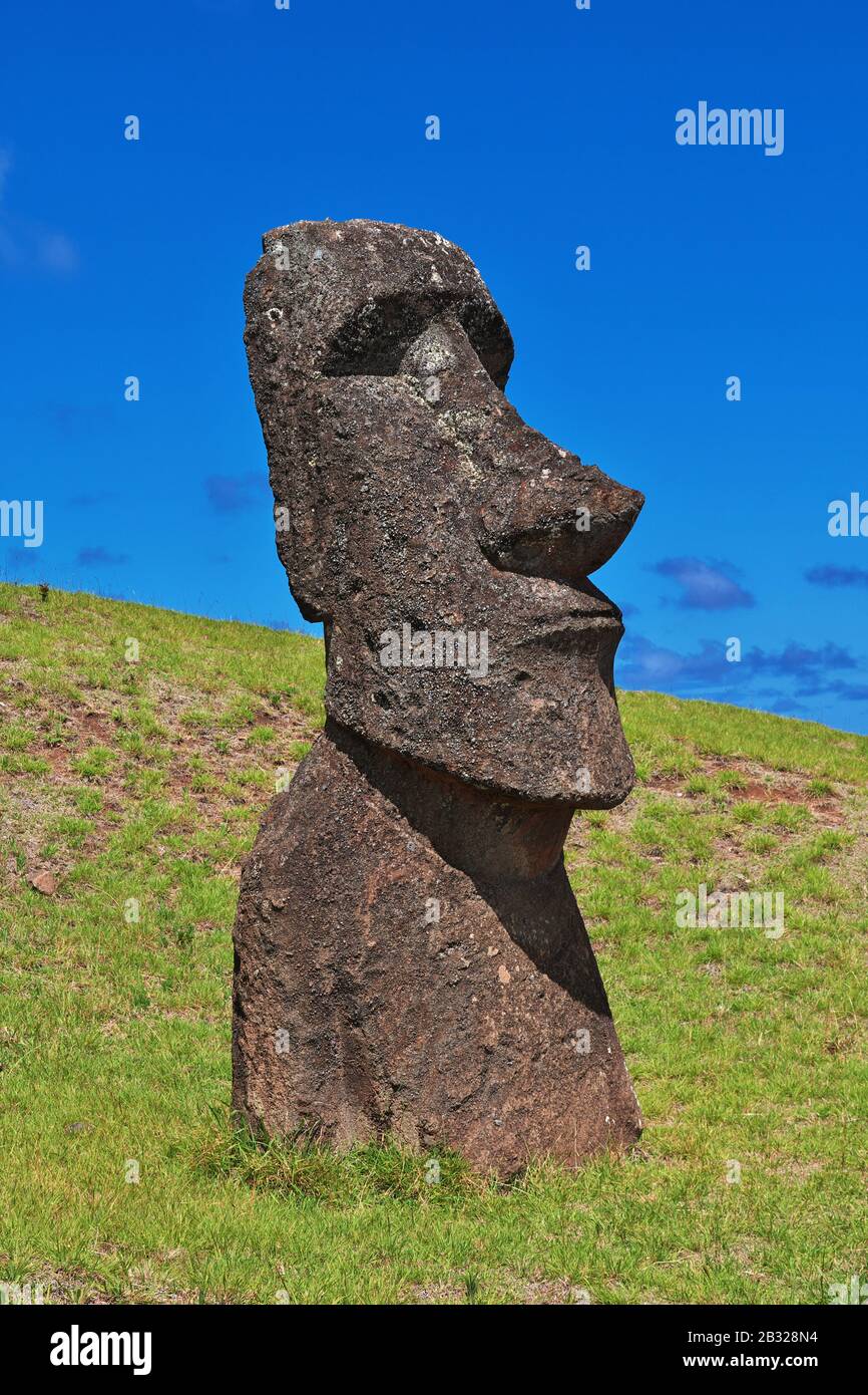 Rapa Nui. The statue Moai in Rano Raraku on Easter Island, Chile Stock