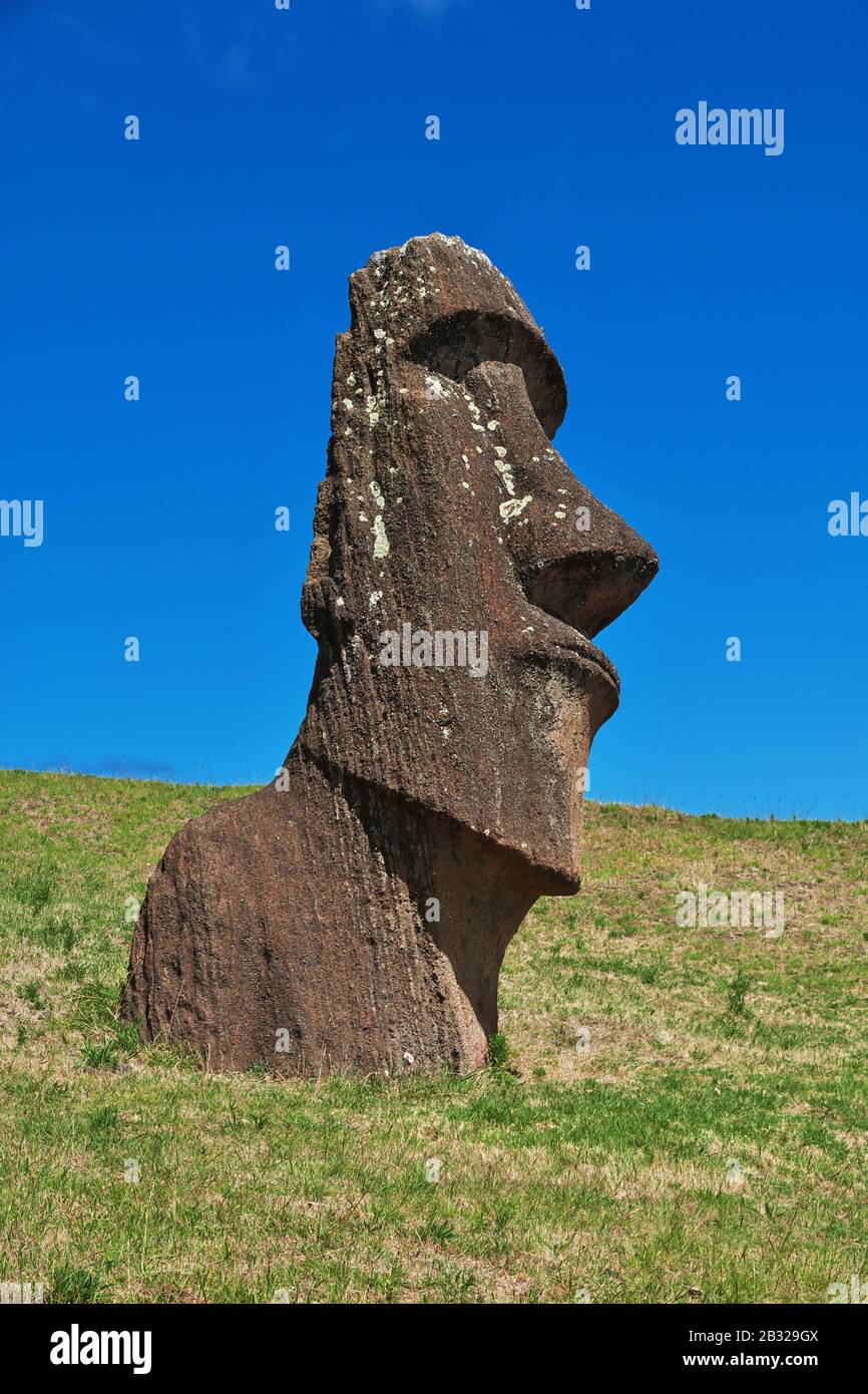 Rapa Nui. The statue Moai in Rano Raraku on Easter Island, Chile Stock