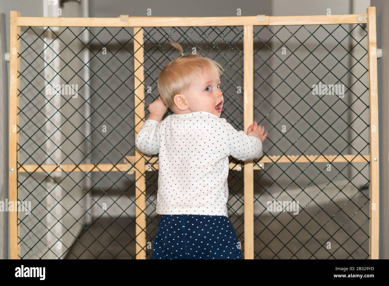 Cute Baby Exploring Child Proof Safety Gate at Home Stock Photo