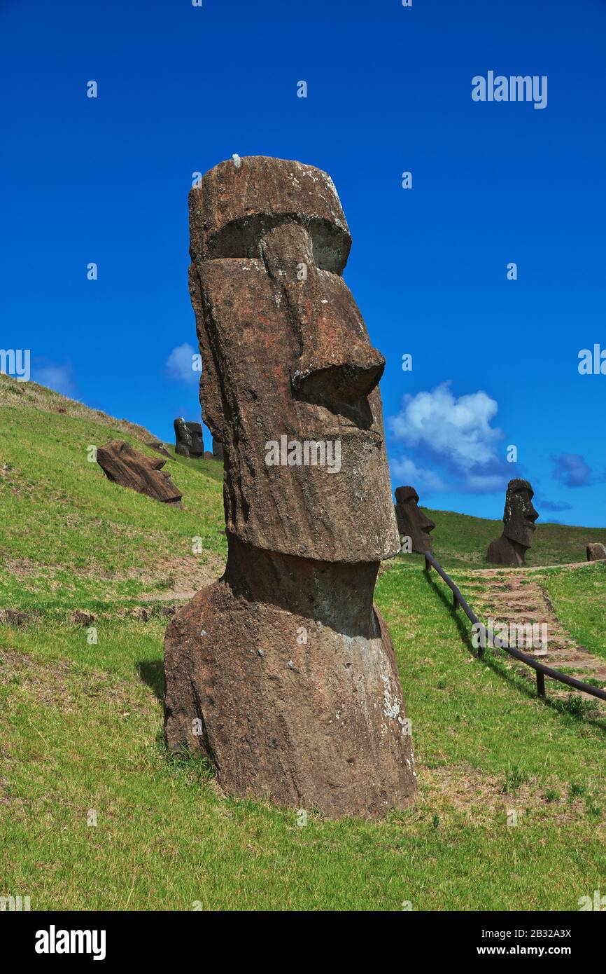 Rapa Nui. The statue Moai in Rano Raraku on Easter Island, Chile Stock