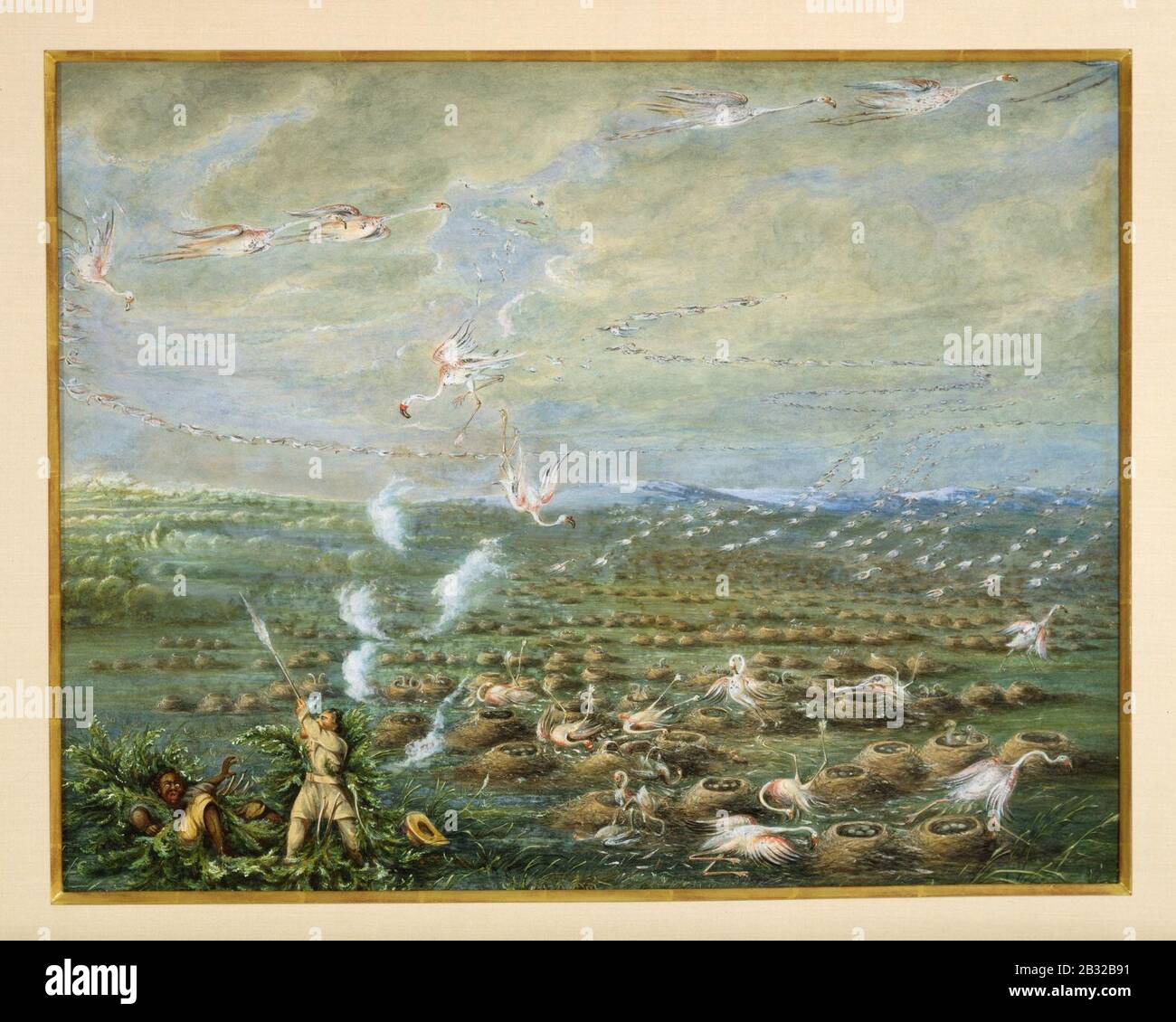 George Catlin - Flamingo Shooting in South America Stock Photo