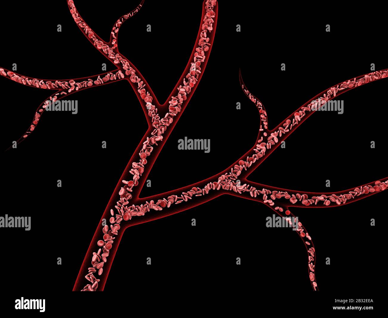 3d Illustration of red blood cells in vein on black background Stock ...