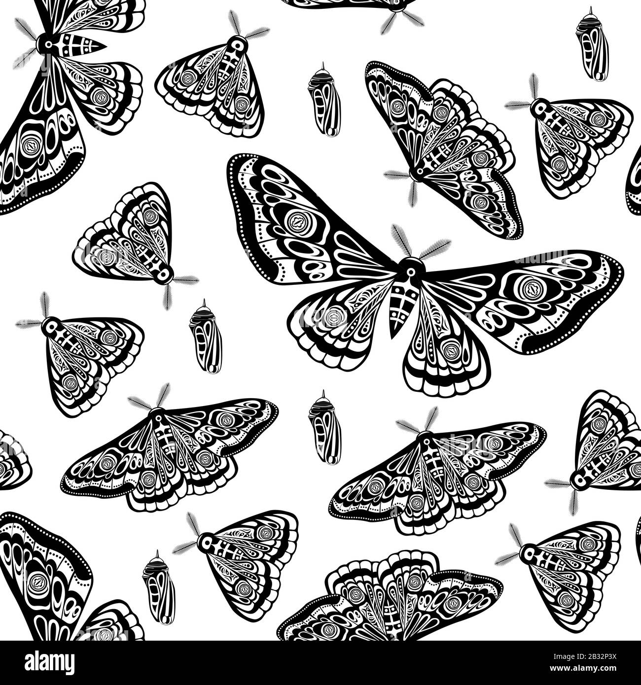 Night moth, butterfly pupa. Vector illustration. Seamless pattern Stock ...