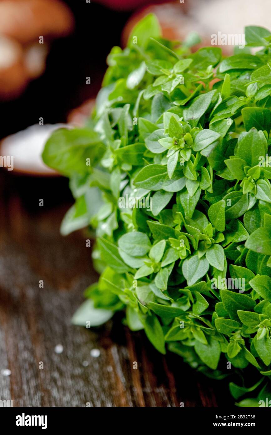 Green basil leaves on a dark kitchen table Stock Photo - Alamy