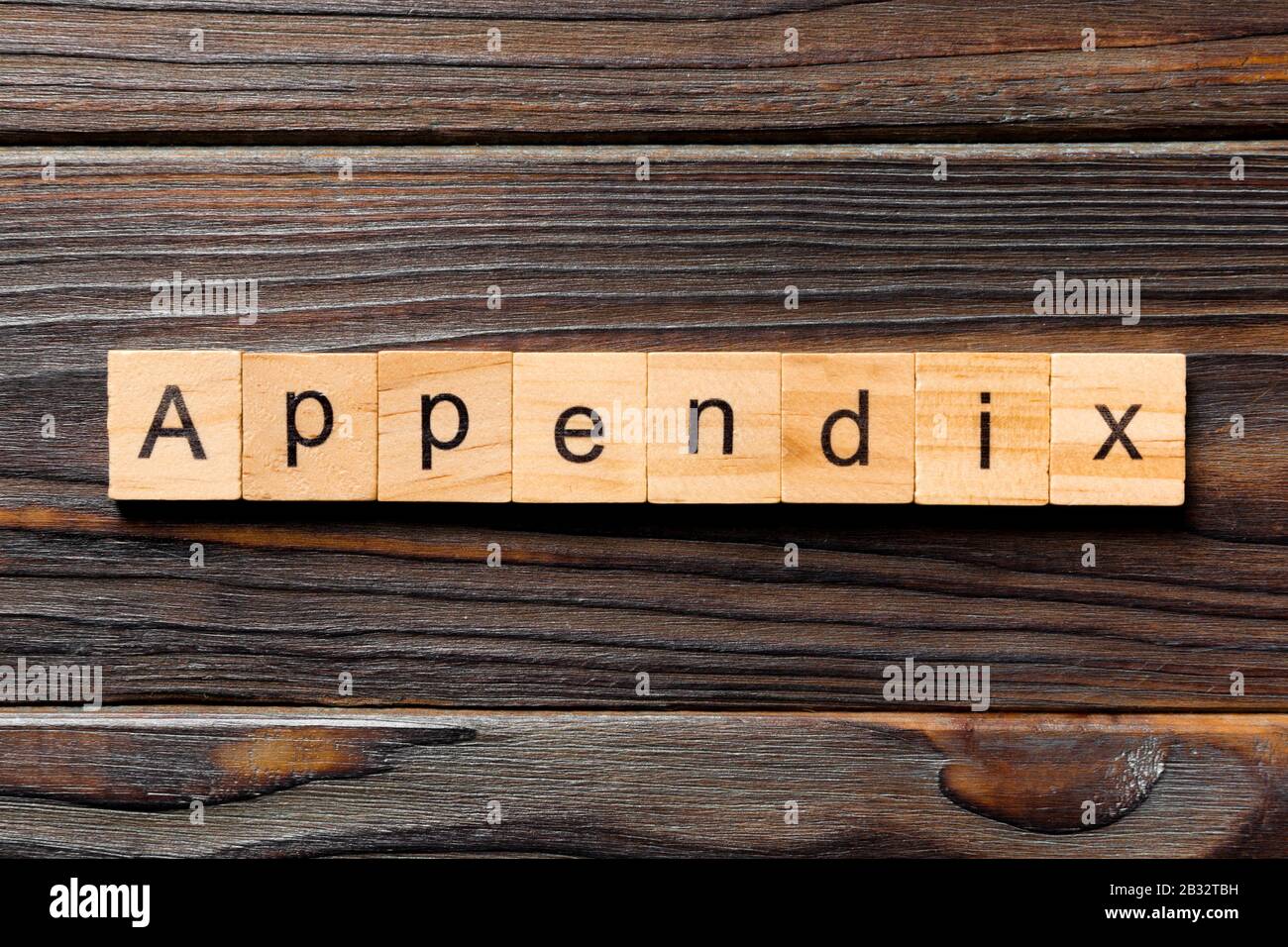 appendix word written on wood block. appendix text on table, concept