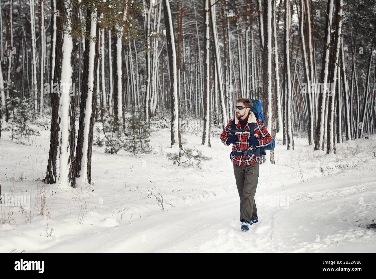 Forest walking gear hi-res stock photography and images - Alamy