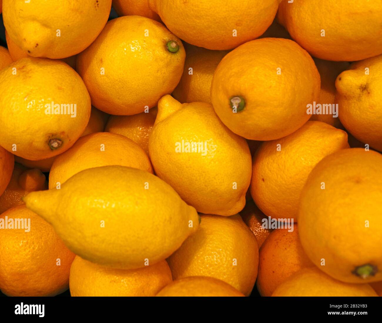 A view of lemons, Citrus x limon, on display in an English supermarket. Stock Photo