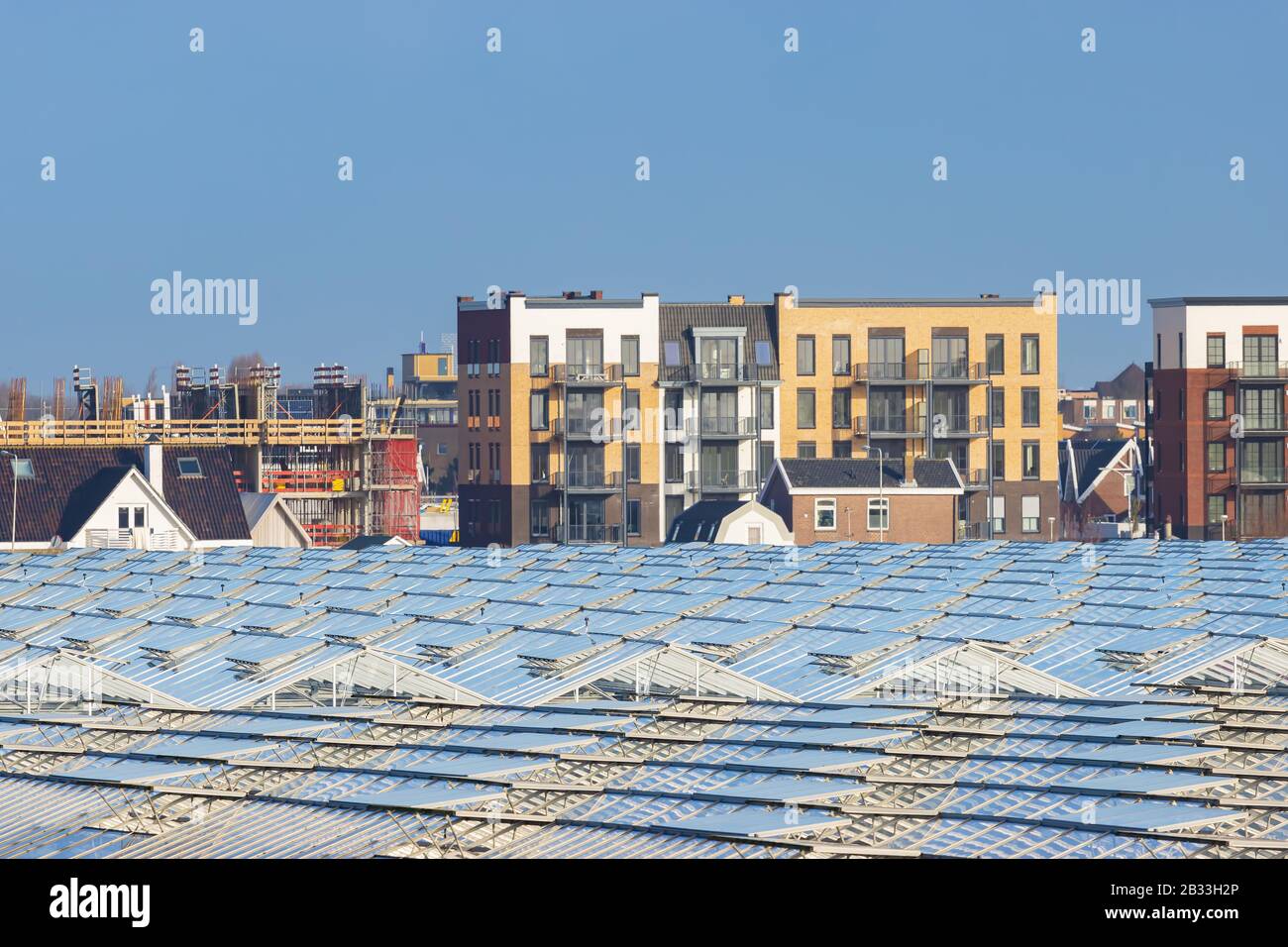 Dutch greenhouses in front of modern new built houses and apartment