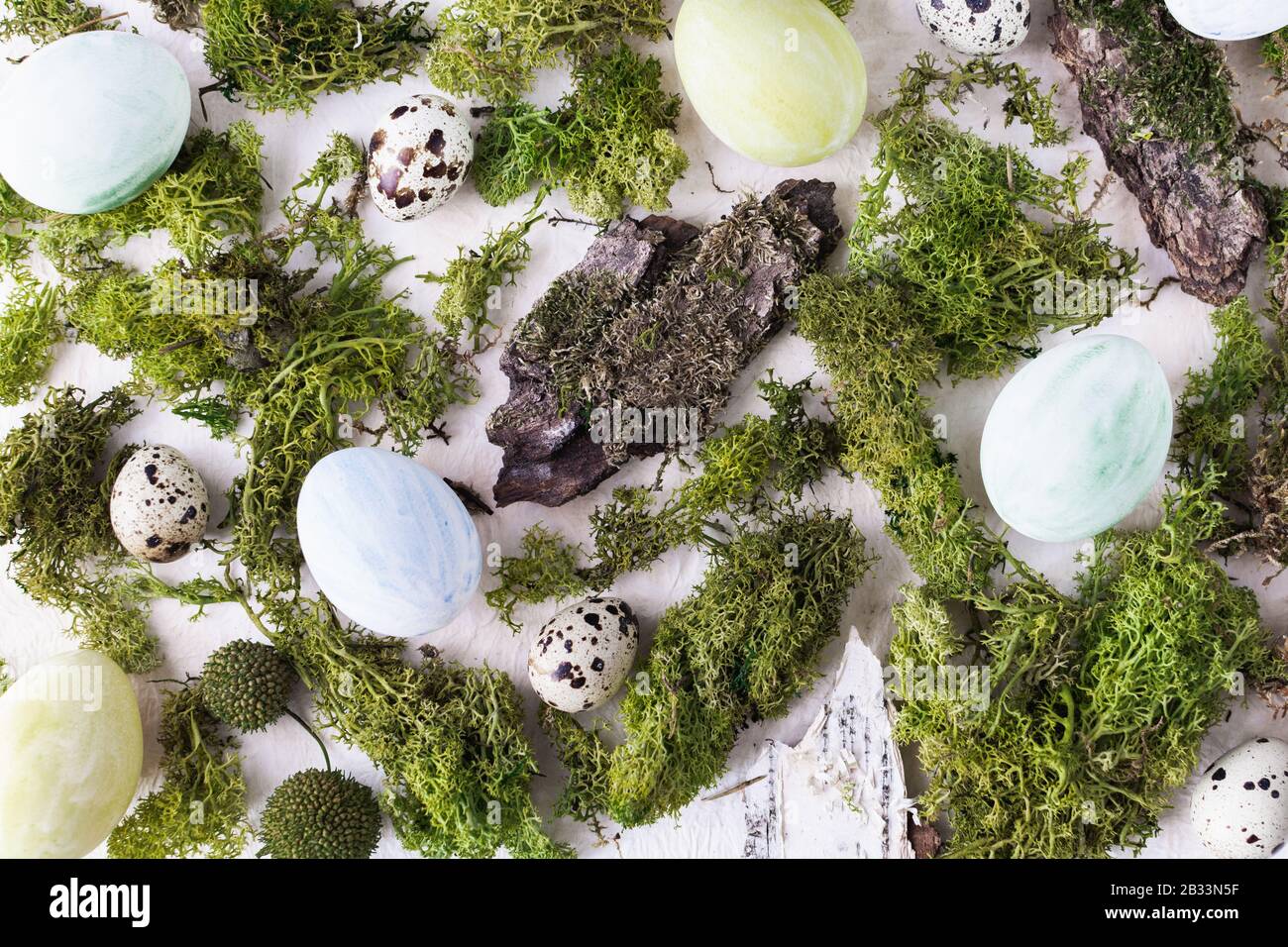 Flat lay with Easter colored eggs, moss and tree bark on a white background. Stock Photo