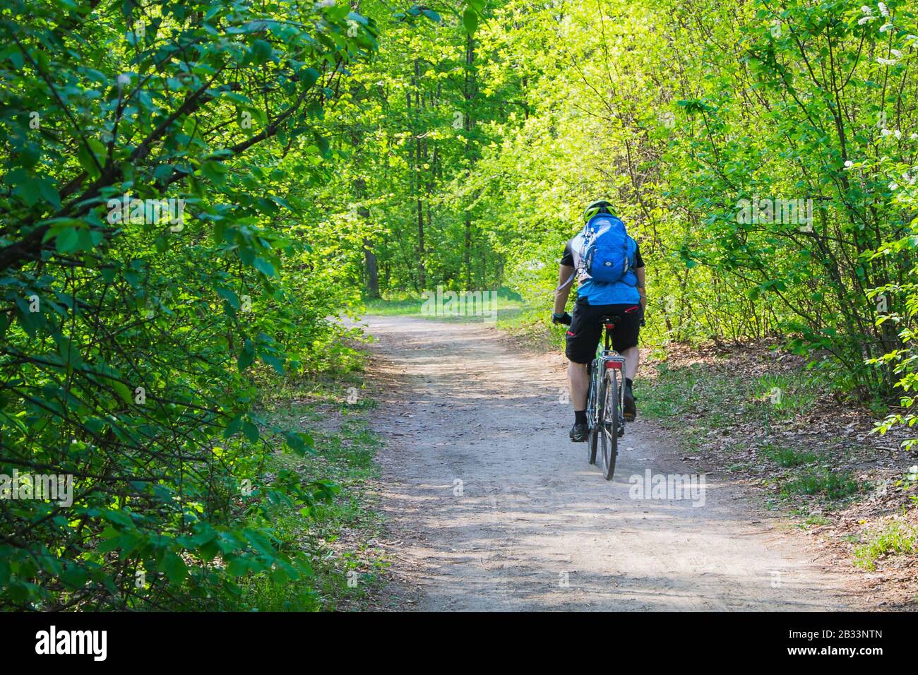 Man cyclist in protective, gear riding e-bike in park alley on summer day among many trees. Back view. Stock Photo