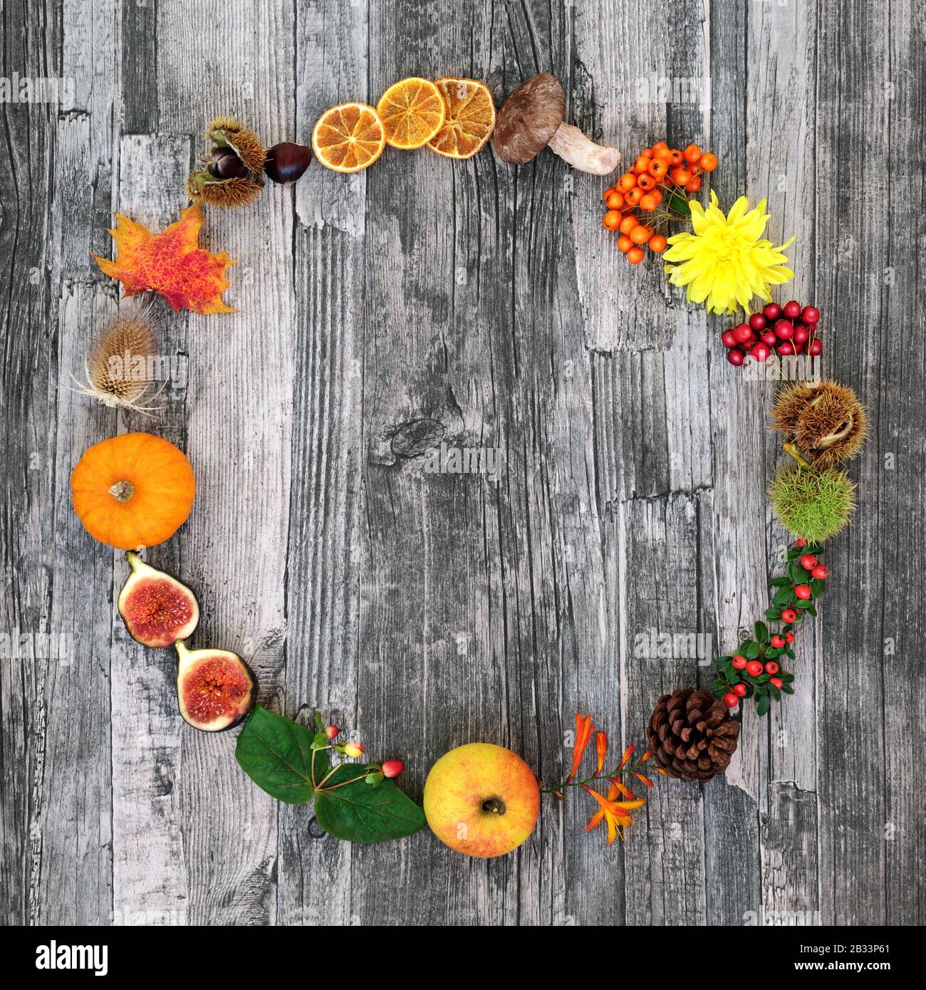 Autumn wreath harvest festival composition with a variety of natural flora & food on rustic wood background. Stock Photo