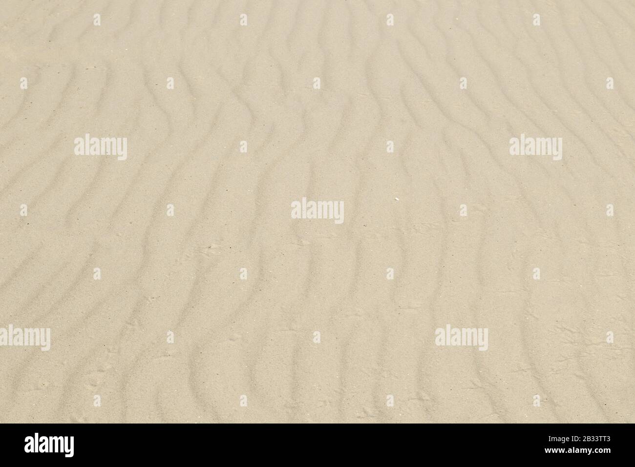 Sand dunes close-up macro nature. White and yellow sand natural texture background Stock Photo