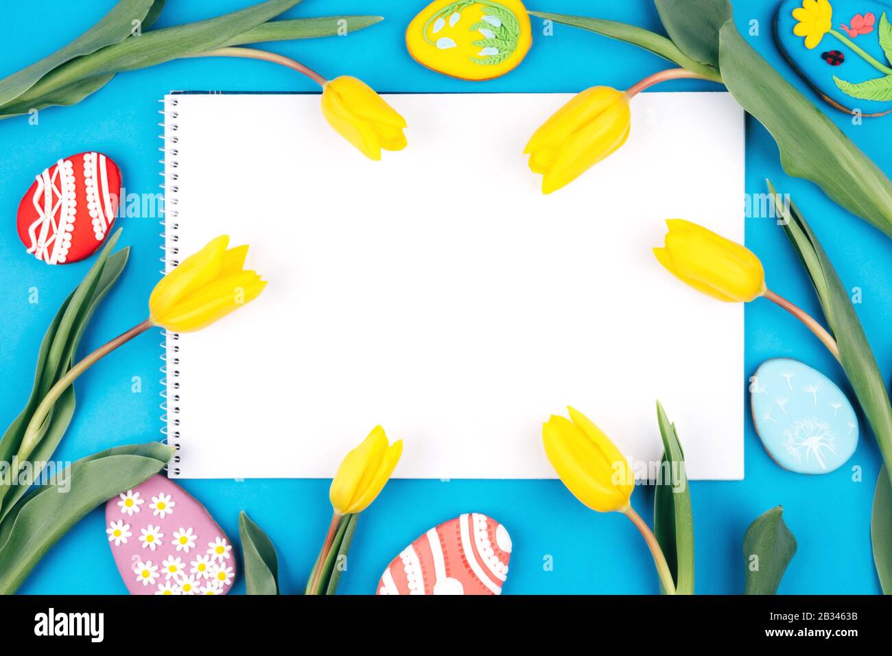 Isolated text space surrounded by yellow tulips and Easter eggs. Stock Photo