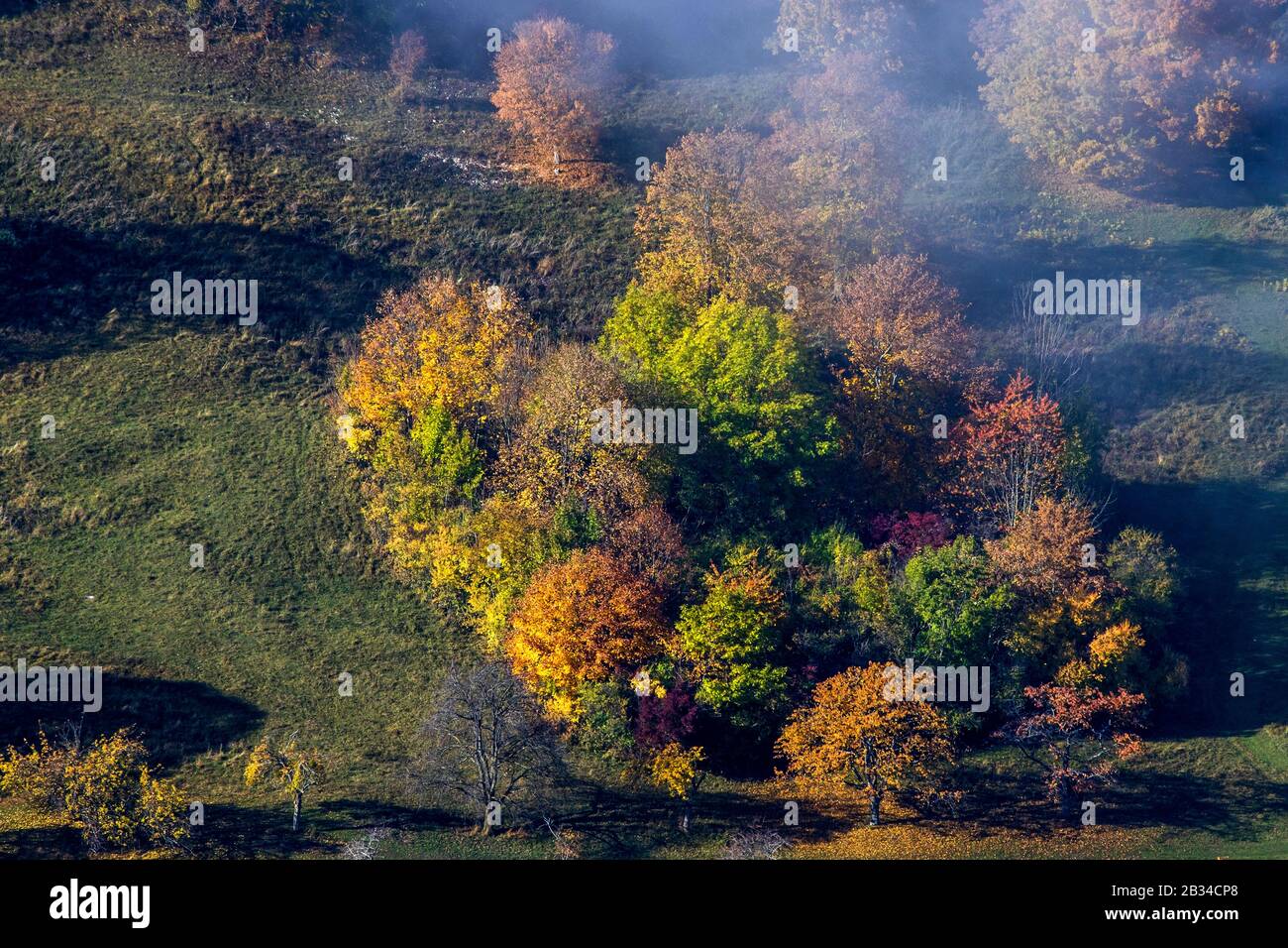 view from Breitenstein to the Swabian Alb in autumn, Germany, Baden-Wuerttemberg, Swabian Alb, Ochsenwang Stock Photo