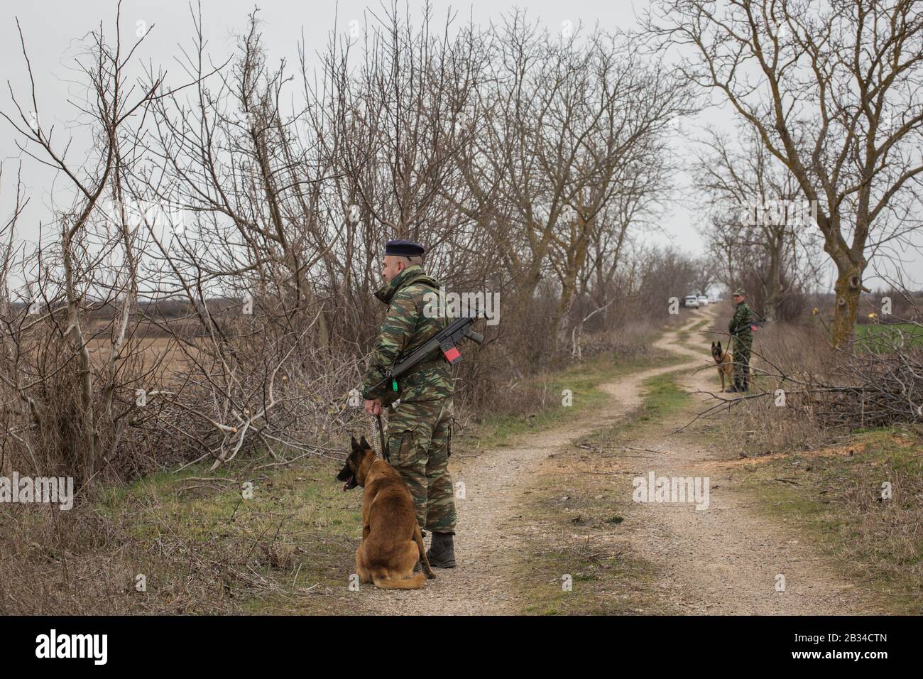 Kastanies, Greece. 04th Mar, 2020. Greek soldiers with dogs stand on a dirt road on the Greek-Turkish border. On the Turkish side of the border, some 12 500 people were waiting for the opportunity to cross the border. Credit: Socrates Baltagiannis/dpa/Alamy Live News Stock Photo