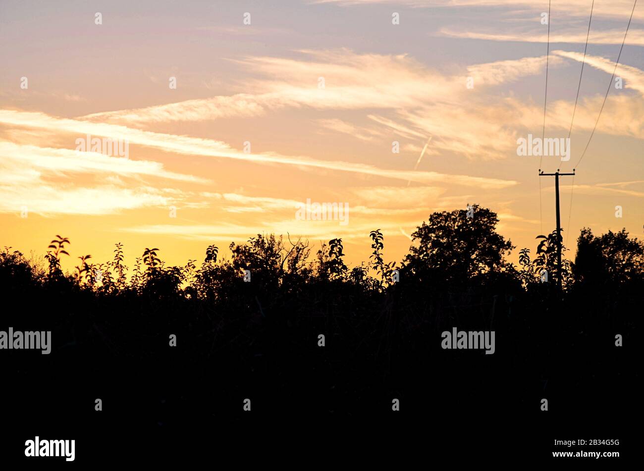 Silhouette of trees with beautiful scenery of sunset in the sky Stock ...