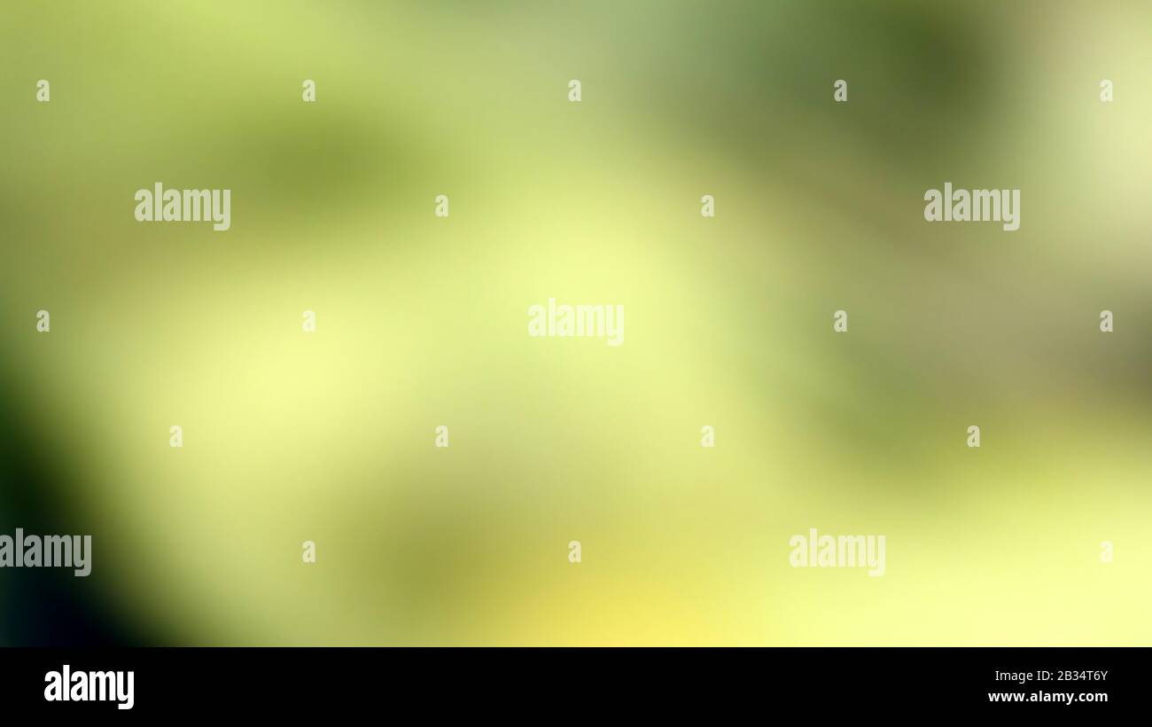 An Abstract Yellow Blurred Background Stock Photo