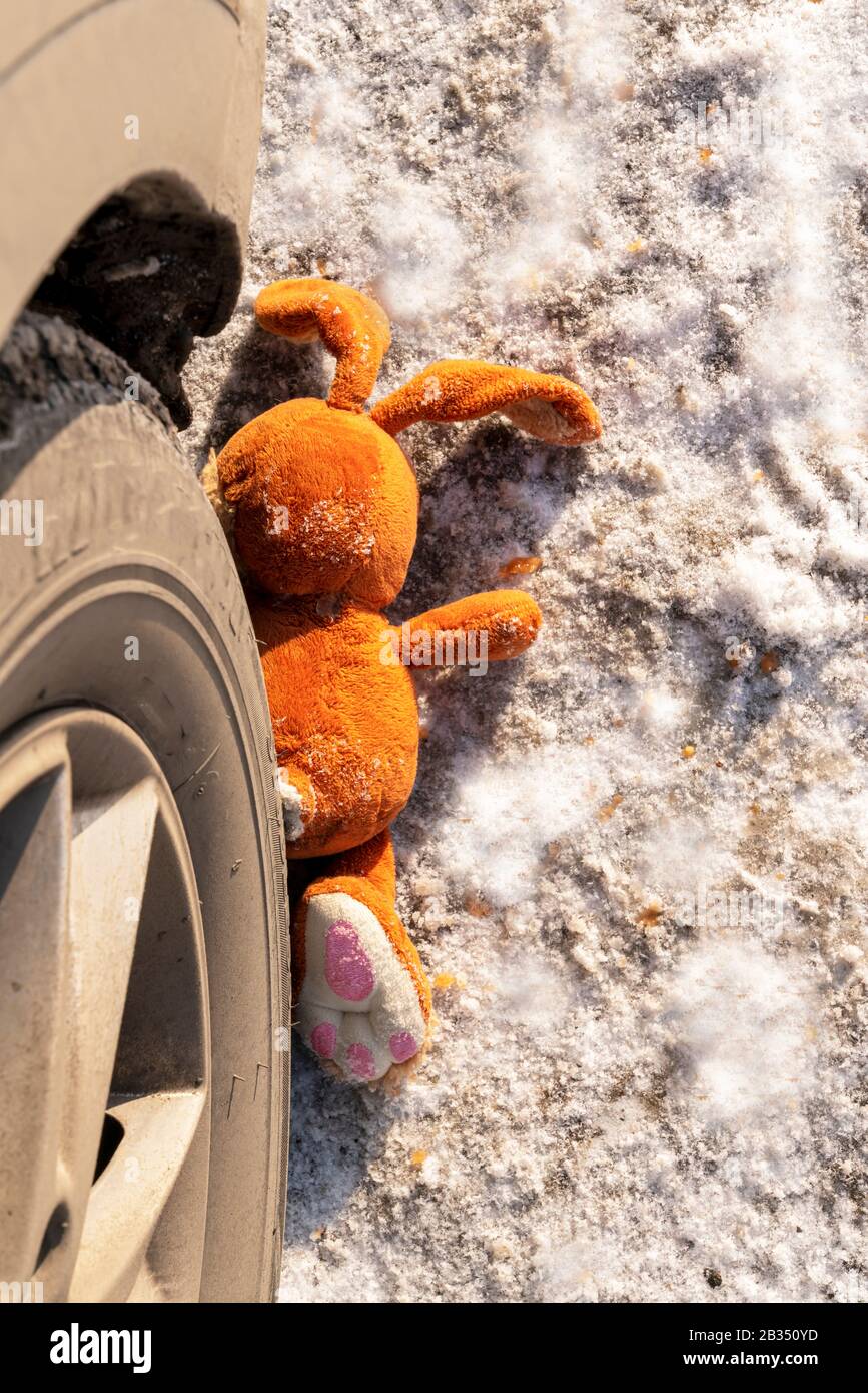 Injured rabbit hi-res stock photography and images - Alamy