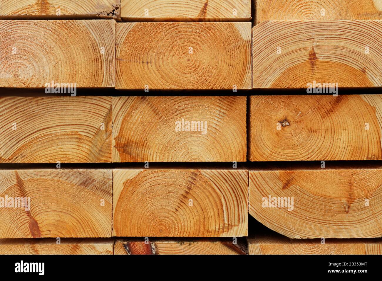 Pine End Grain Background: end grain view detail of a pine wood's pile of construction timber Stock Photo