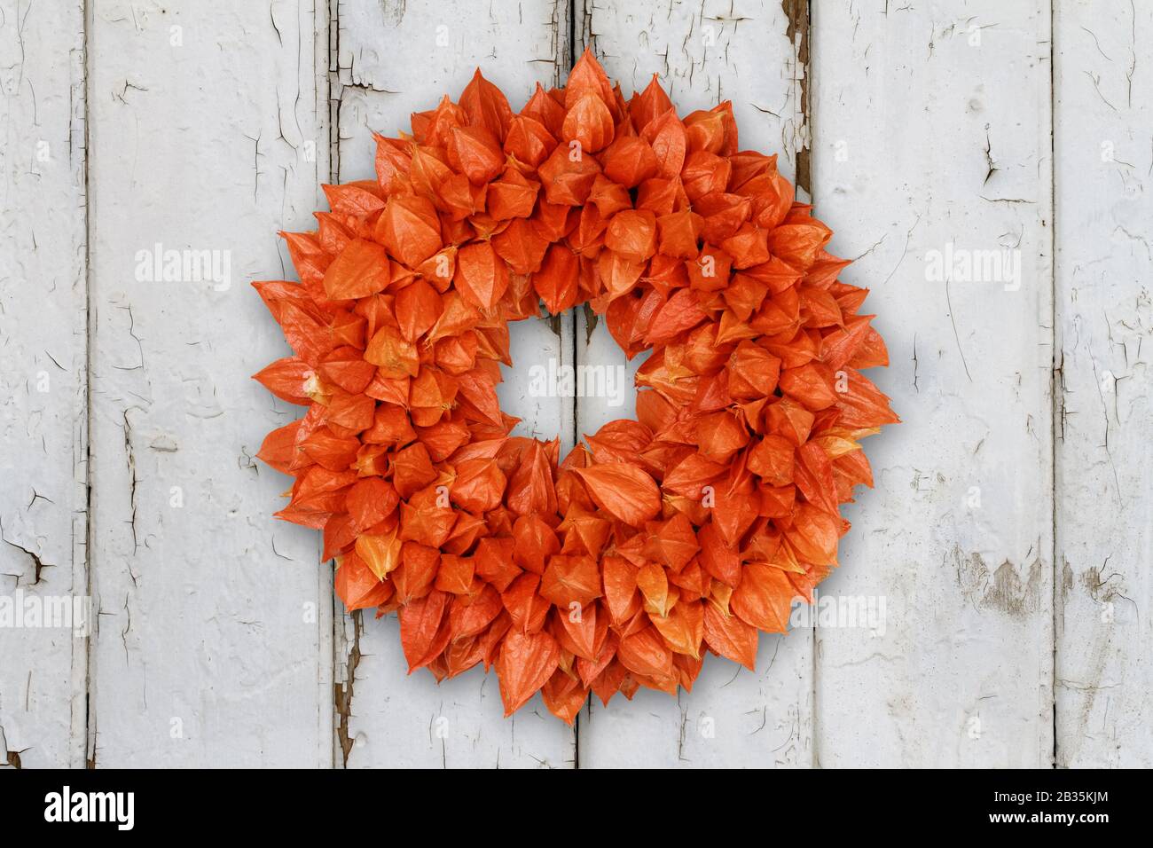 Autumnal Decoration Wreath with Physalis on grunge background Stock Photo