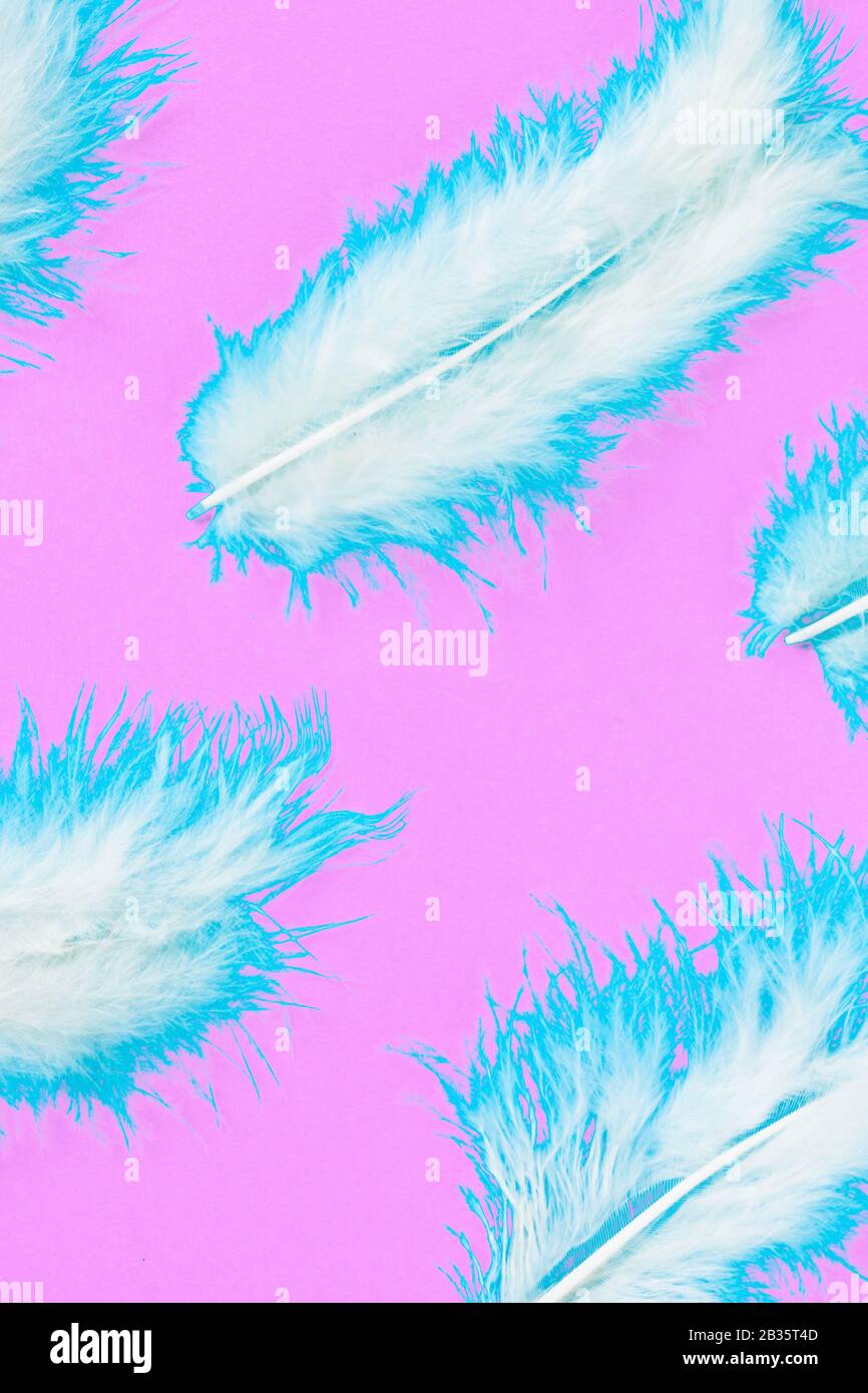Soft, fluffy feathers creative toned on pink background. Easter or spring holiday concept. Minimalism pattern Stock Photo
