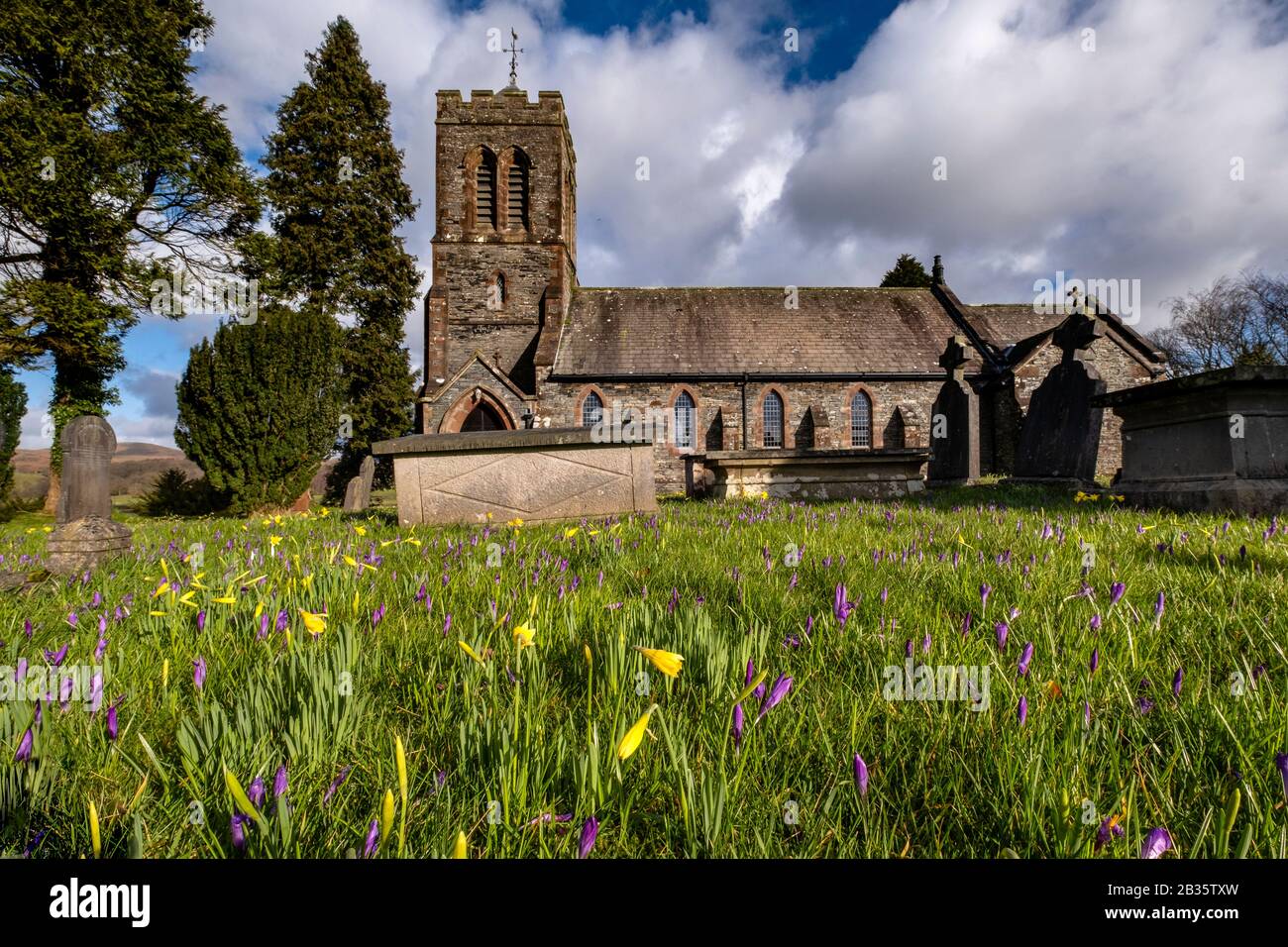 I love the croci and daffodiils at St Luke's Church in Lowick so stopped by on the way home this morning to see how they were coming on.  Not quite as Stock Photo