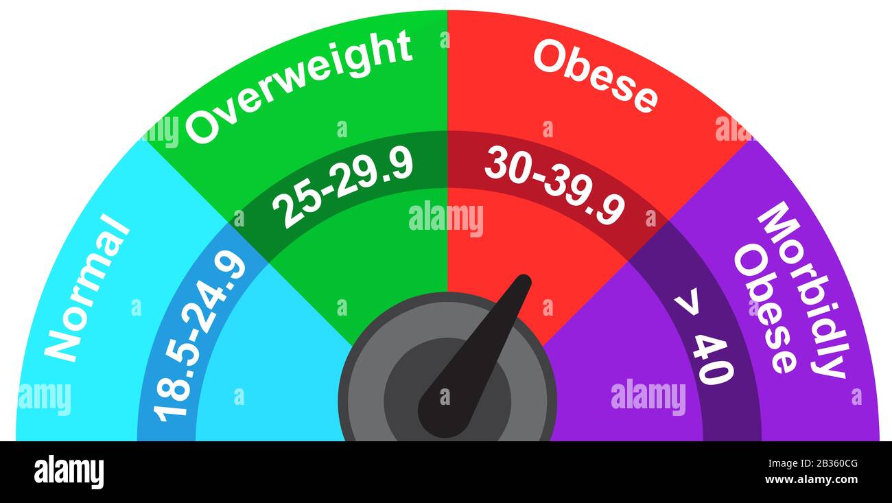body mass index indicator meter obese illustration Stock Photo Alamy