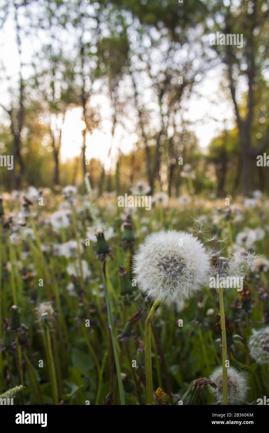 Inspiration landscapes hi-res stock photography and images - Alamy