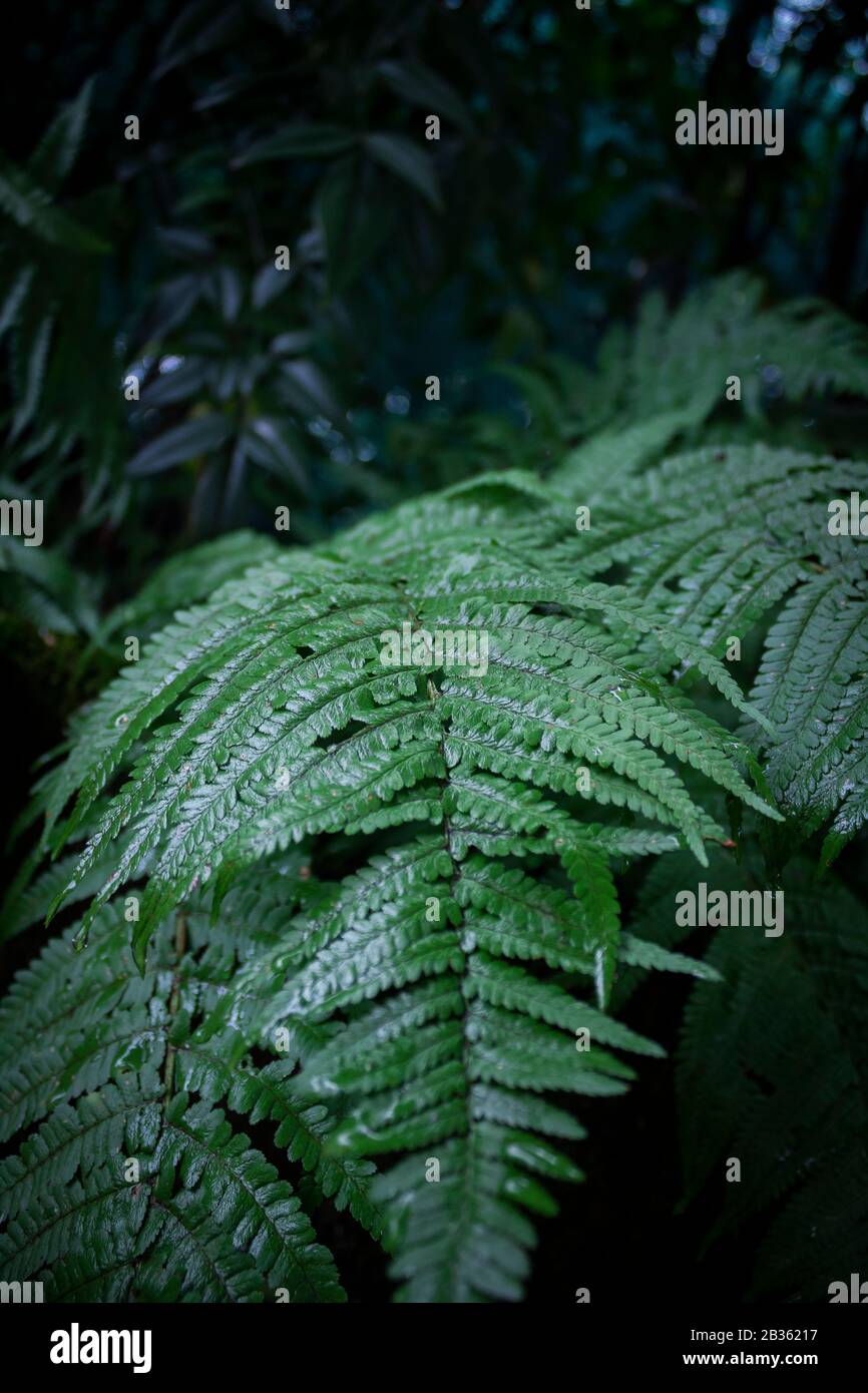 Inspiration landscapes hi-res stock photography and images - Alamy