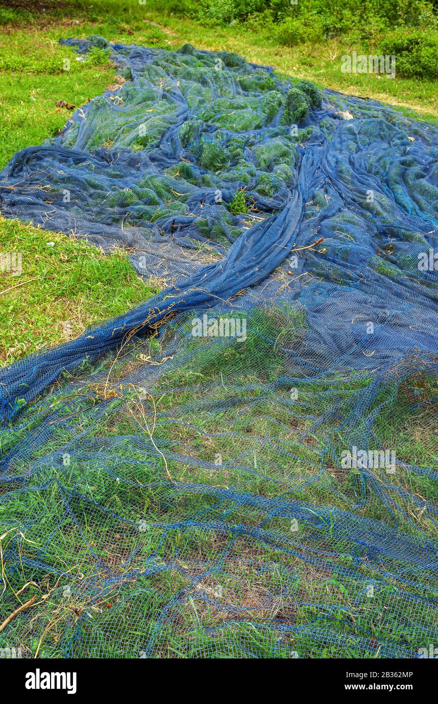 Blue fishing nets drying on grass in a village in Kenya Stock Photo