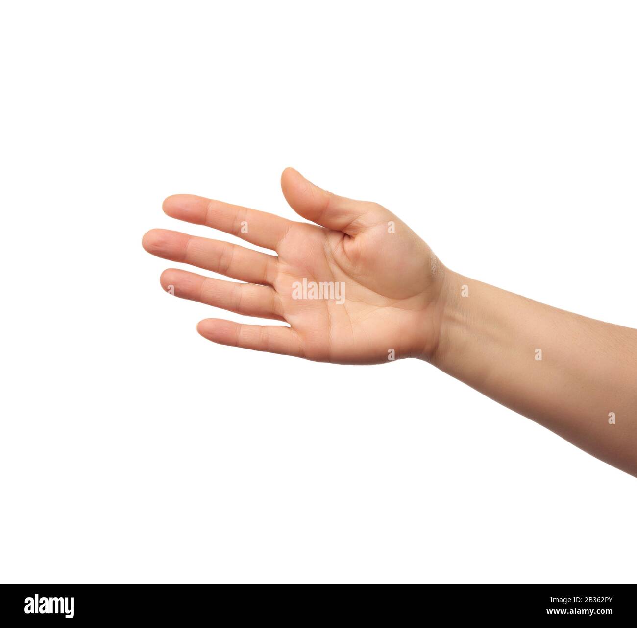outstretched hand of man, open hand, part of the body isolated on white background, close up Stock Photo