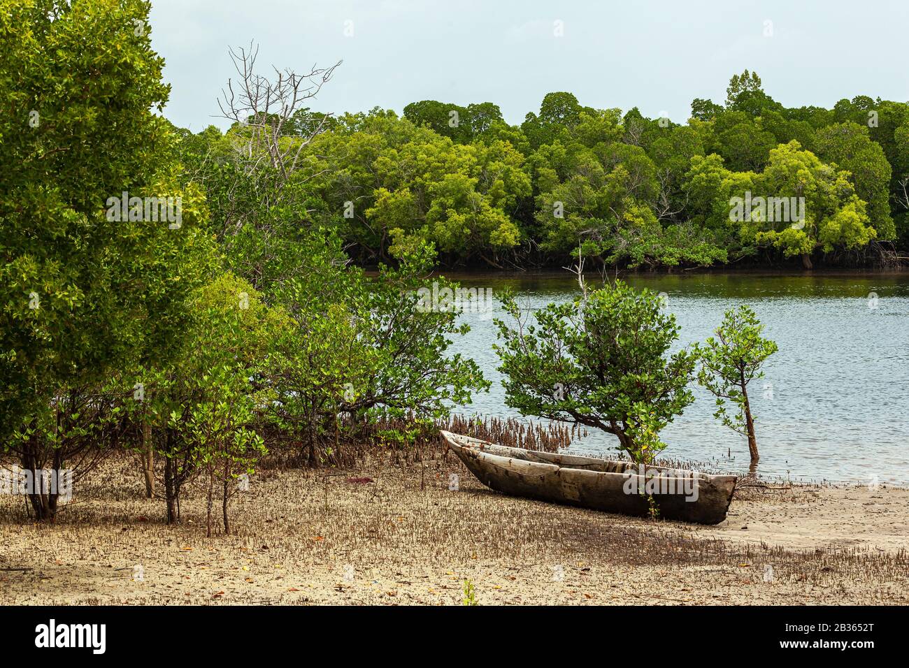 Old wooden fishing boat on a beach by mangrove (Kenya coast) Stock Photo