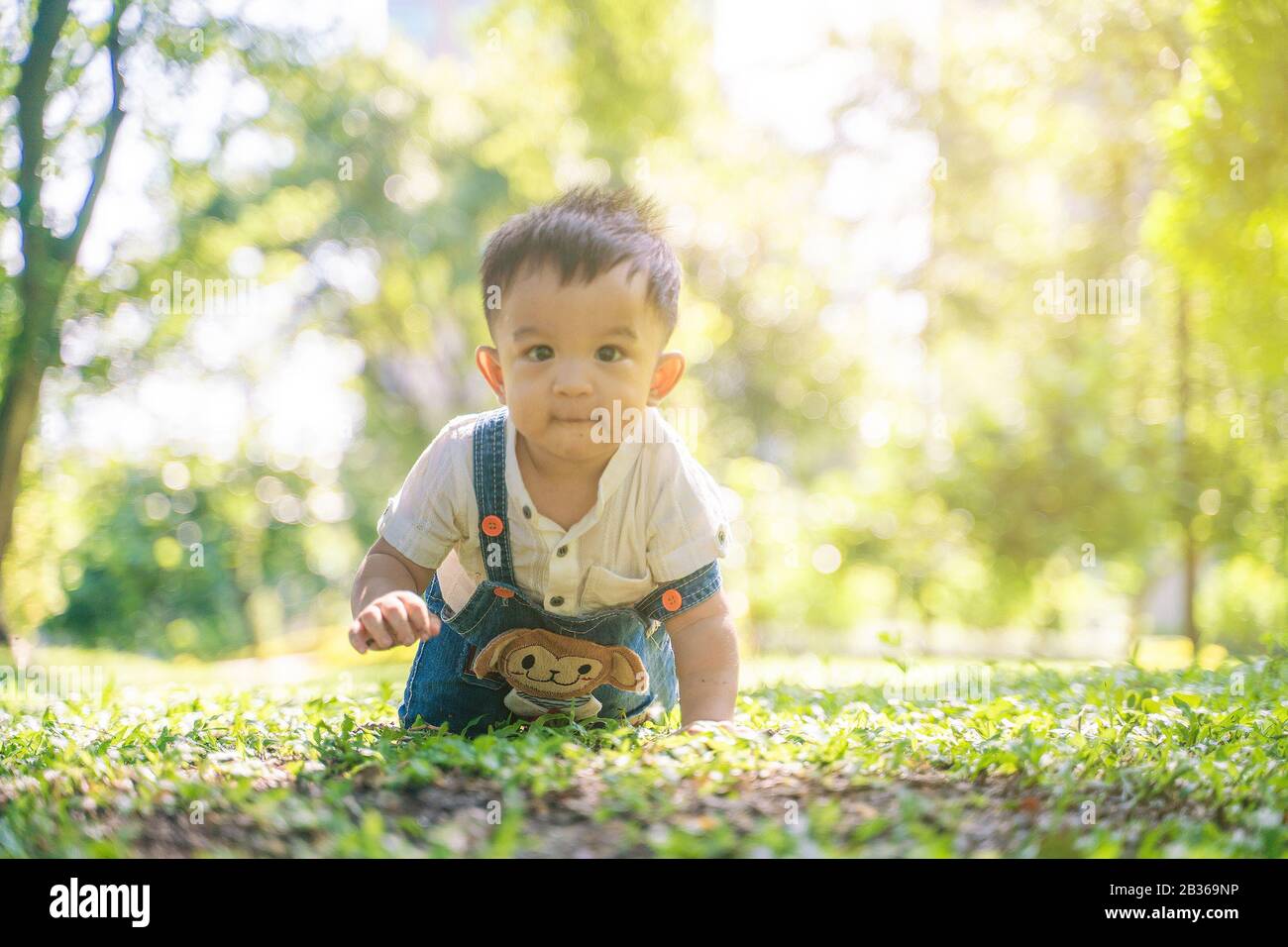 Funny Baby Boy Crawling On Green Grass Meadow In City Park Morning
