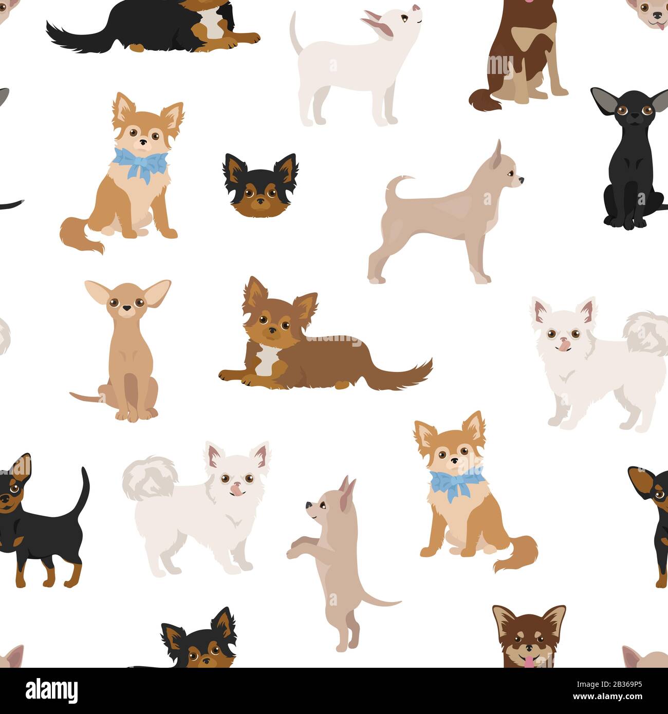 Chihuahua dogs seamless pattern. Different varieties of coat color set
